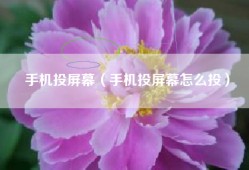 手机投屏幕（手机投屏幕怎么投）