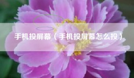 手机投屏幕（手机投屏幕怎么投）