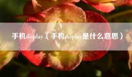 手机display（手机display是什么意思）