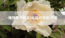 推特账号购买2元自动发货(共享