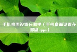 手机桌面设置在哪里（手机桌面设置在哪里 oppo）