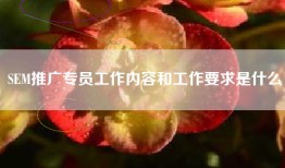 SEM推广专员工作内容和工作要求是什么