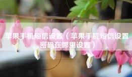 苹果手机短信设置（苹果手机短信设置密码在哪里设置）