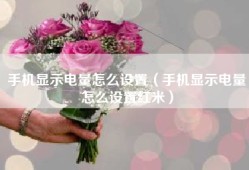 手机显示电量怎么设置（手机显示电量怎么设置红米）