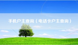 手机户主查询（电话卡户主查询）