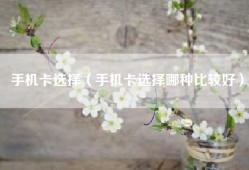 手机卡选择（手机卡选择哪种比较好）