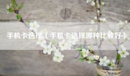 手机卡选择(手机卡选择哪种比较好)