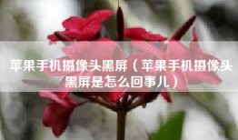 苹果手机摄像头黑屏（苹果手机摄像头黑屏是怎么回事儿）