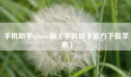 手机助手iphone版（手机助手官方下载苹果）