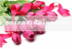 韩国手机牌子（韩国手机牌子大全）