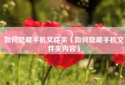 如何隐藏手机文件夹（如何隐藏手机文件夹内容）
