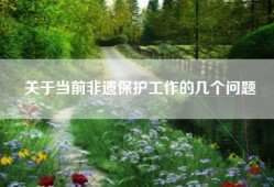 关于当前非遗保护工作的几个问题