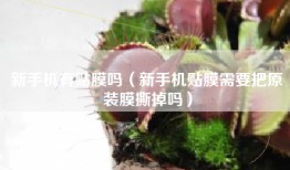 新手机有贴膜吗（新手机贴膜需要把原装膜撕掉吗）