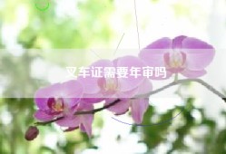 叉车证需要年审吗