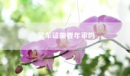 叉车证需要年审吗