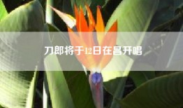 刀郎将于12日在昌开唱