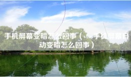 手机屏幕变暗怎么回事（vivo手机屏幕自动变暗怎么回事）