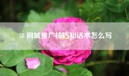 58 同城推广技巧和话术怎么写