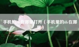 手机的nfc在哪里打开（手机里的nfc在哪里）