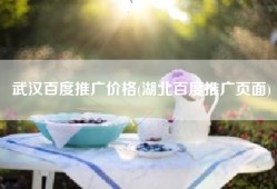 武汉百度推广价格(湖北百度推广页面)