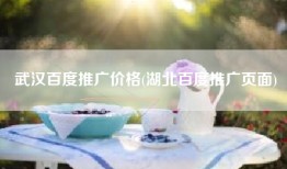 武汉百度推广价格(湖北百度推广页面)