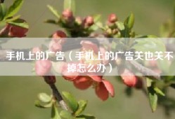 手机上的广告（手机上的广告关也关不掉怎么办）