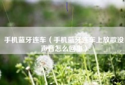 手机蓝牙连车（手机蓝牙连车上放歌没声音怎么回事）