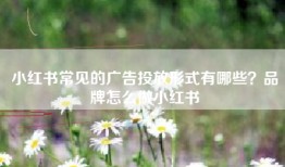 小红书常见的广告投放形式有哪些？品牌怎么做小红书