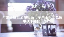 苹果手机怎么接电话（苹果手机怎么接电话不断网）