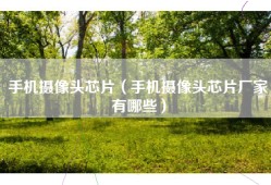 手机摄像头芯片（手机摄像头芯片厂家有哪些）