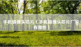 手机摄像头芯片（手机摄像头芯片厂家有哪些）