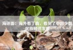 海评面：海外看丁真，看见了中国少数民族经济发展