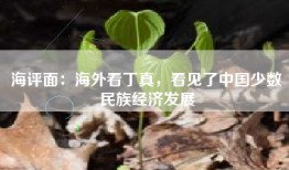 海评面：海外看丁真，看见了中国少数民族经济发展