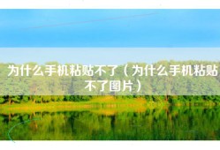为什么手机粘贴不了（为什么手机粘贴不了图片）
