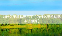 为什么手机粘贴不了（为什么手机粘贴不了图片）