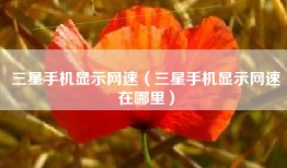 三星手机显示网速（三星手机显示网速在哪里）
