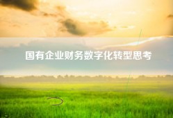 国有企业财务数字化转型思考