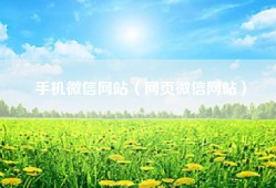 手机微信网站（网页微信网站）