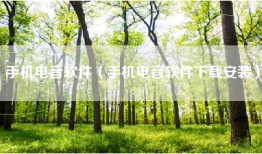 手机电音软件（手机电音软件下载安装）
