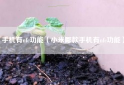 手机有nfc功能（小米哪款手机有nfc功能）