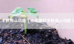 手机有nfc功能(小米哪款手机有nfc功能)