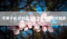 苹果手机 价格表（二手苹果手机价格表）