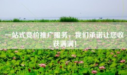 一站式竞价推广服务，我们承诺让您收获满满！