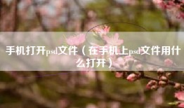 手机打开psd文件（在手机上psd文件用什么打开）