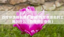 百度快速排名体系查询_百度查排名的工具叫什么（百度排行查询）
