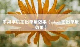 苹果手机拍出单反效果（iphone拍出单反效果）