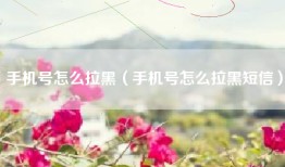 手机号怎么拉黑（手机号怎么拉黑短信）
