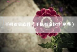 手机看家软件（手机看家软件 免费）