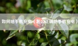 如何给手机充电（怎么正确给手机充电）