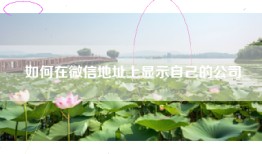 如何在微信地址上显示自己的公司